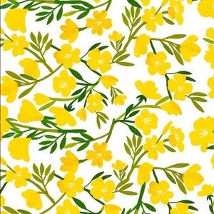 Meet your Posher, Cori